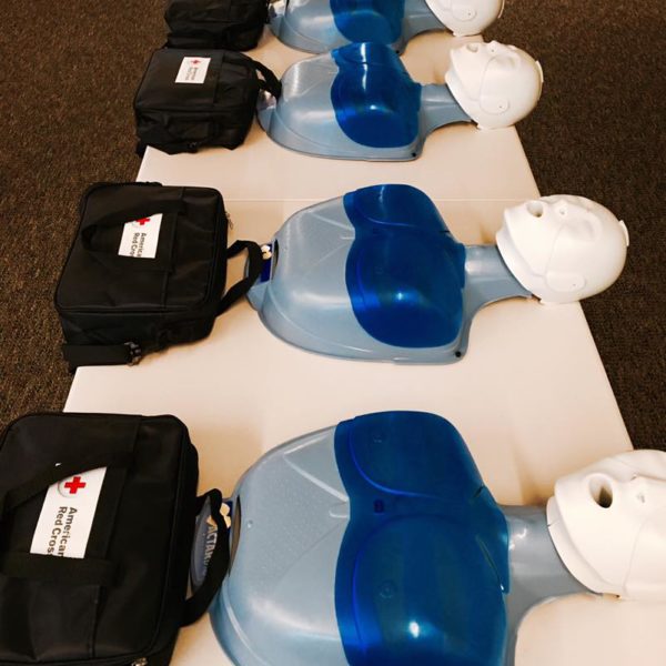 Adult CPR / AED / First Aid